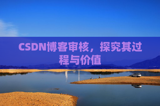 CSDN博客审核，探究其过程与价值